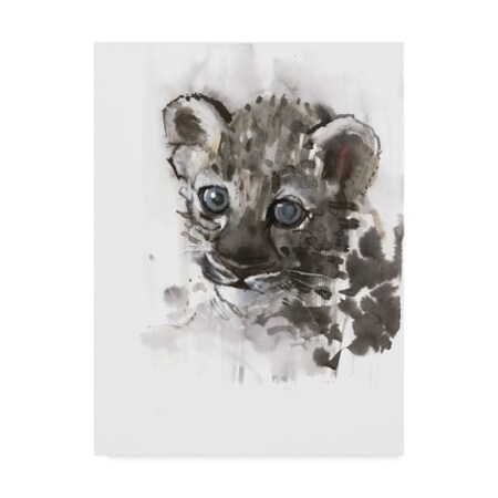 Trademark Fine Art Mark Adlington 'Blue Eyes Arabian Leopard Cub' Canvas Art, 18x24 BL01753-C1824GG